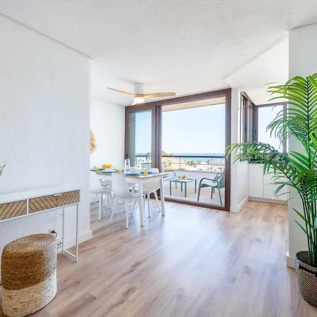 Vivendos - Tr20 - Nogalera *