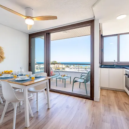 Vivendos - Tr20 - Nogalera *