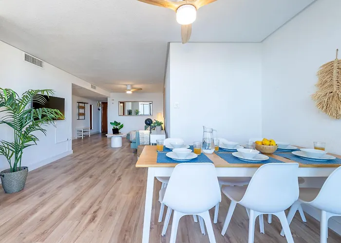 Vivendos - Tr20 - Nogalera *