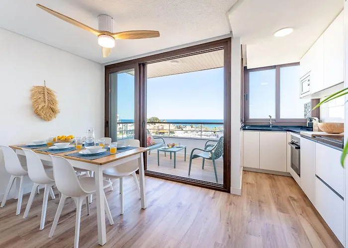 Vivendos - Tr20 - Nogalera *