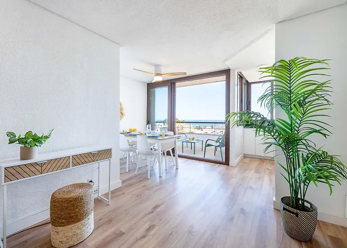 Vivendos - Tr20 - Nogalera *