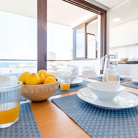 Vivendos - Tr20 - Nogalera *